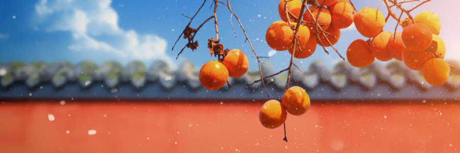 霜降 | 寒霜冬將至，補陽須及時