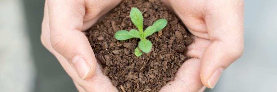 火運(yùn)不及的癸卯年，亟需補(bǔ)火護(hù)陽(yáng)！