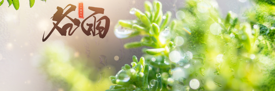 谷雨丨雨生百谷，人間向暖