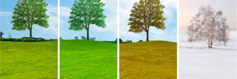 讀懂五臟五行與四季的關(guān)系，養(yǎng)生才算入門……