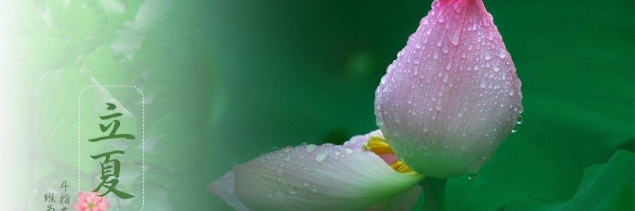 立夏 | 滿園芳立，夏色初染