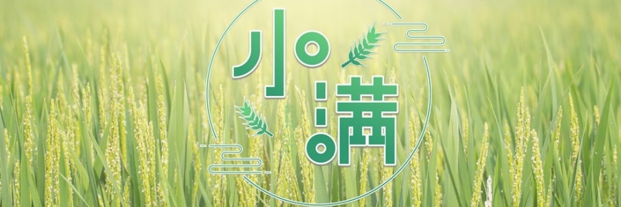 小滿(mǎn) | 萬(wàn)物漸豐，小得盈滿(mǎn)