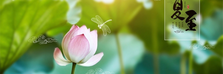 夏至 | 陽(yáng)極陰生，美好日長(zhǎng)