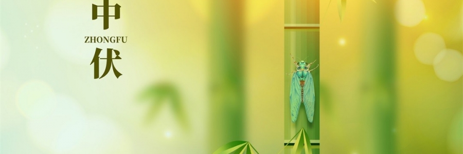 不想越扎越深？ 中伏拔病根，不做病床人！