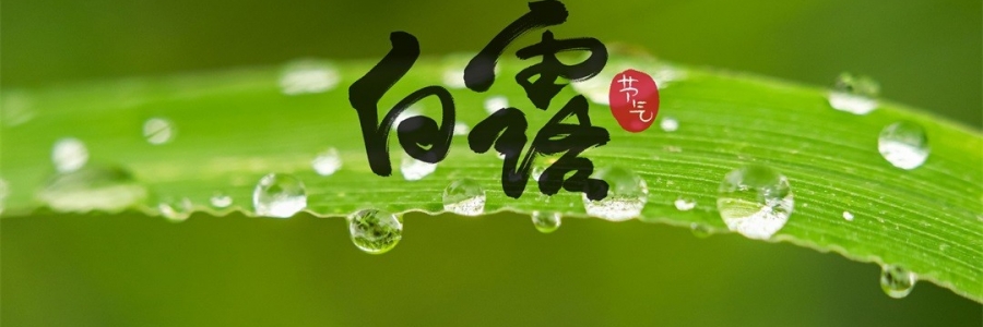 白露 | 天涼身勿露，灸火暖秋色