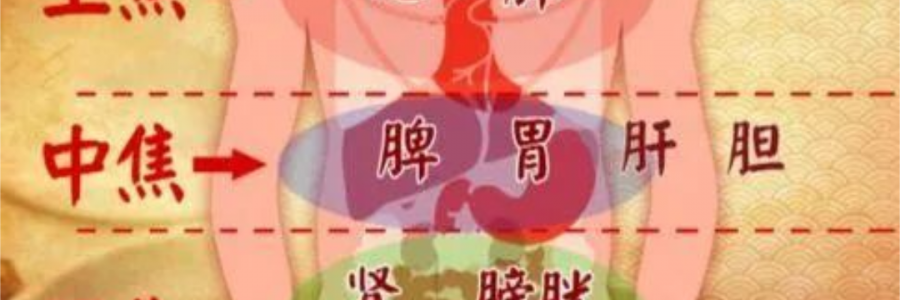 突破600億播放量的《羅剎海市》，竟然還暗藏中醫(yī)奧秘？