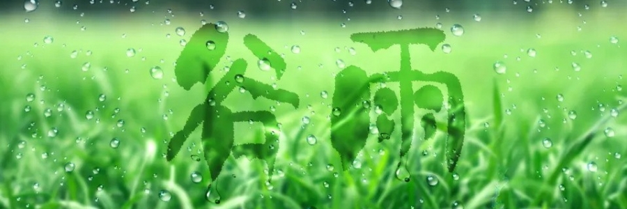 谷雨丨健脾祛濕，安然迎夏