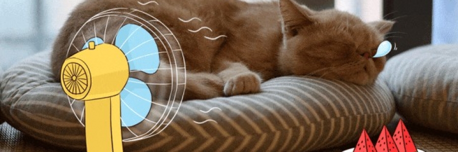 越睡越困的夏天，一個穴位趕走疲倦……