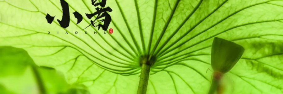 小暑丨避暑養(yǎng)心，準備入伏