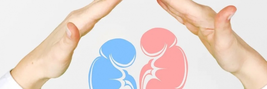 兩個(gè)人體的“長(zhǎng)壽穴”，每天揉一揉，健康又長(zhǎng)壽