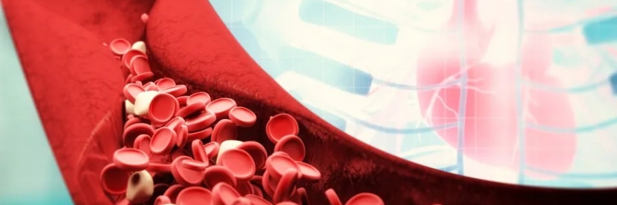 萬(wàn)病皆生于瘀，愛(ài)生病的人小心這三種“瘀毒”