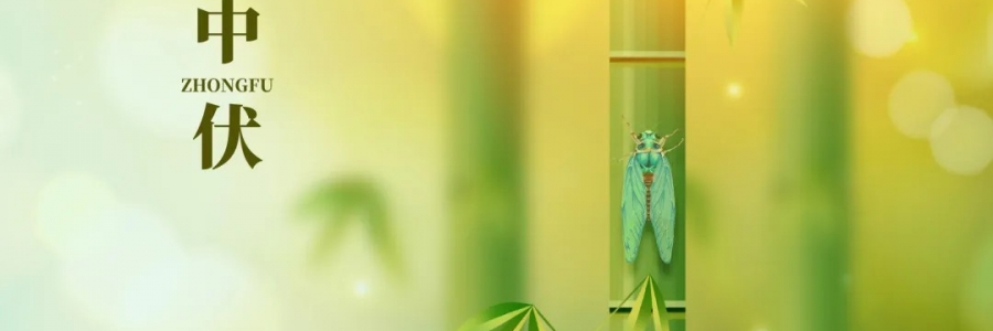 三伏灸丨破三冰，泄三濁，清五毒，祛六淫！