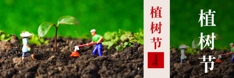 外植綠樹，內(nèi)養(yǎng)肝木，別忘給身體也“種下”護(hù)肝種子！