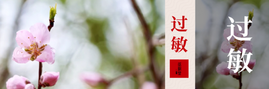 水泥封鼻、眼睛癢？四月過敏季，快和鼻炎說拜拜！