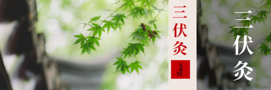 中伏 | 伏藏陽(yáng)，冬不慌！三伏過(guò)半，抓緊養(yǎng)陽(yáng)黃金期